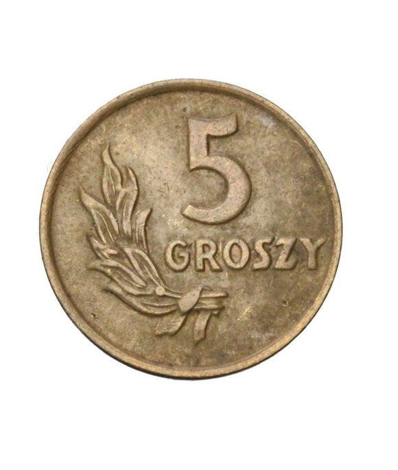 1949 - Polska - 5 Groszy