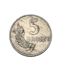 1949 - Polska - 5 Groszy