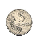 1949 - Polska - 5 Groszy