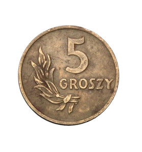 1949 - Polska - 5 Groszy