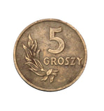 1949 - Polska - 5 Groszy