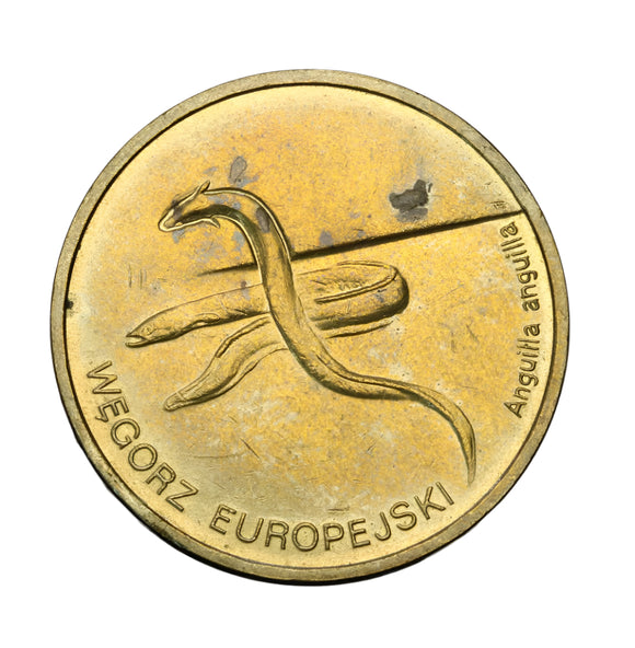 2003 - Polska - 2 zł - Węgorz Europejski