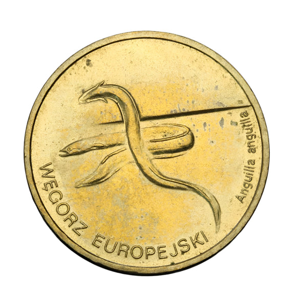 2003 - Polska - 2 zł - Węgorz Europejski