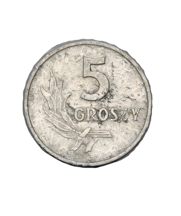 1959 - Polska - 5 Groszy