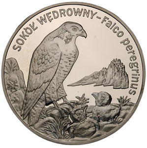 2008 - Polska - 20 zł - Sokół Wędrowny