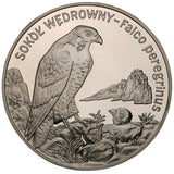 2008 - Polska - 20 zł - Sokół Wędrowny
