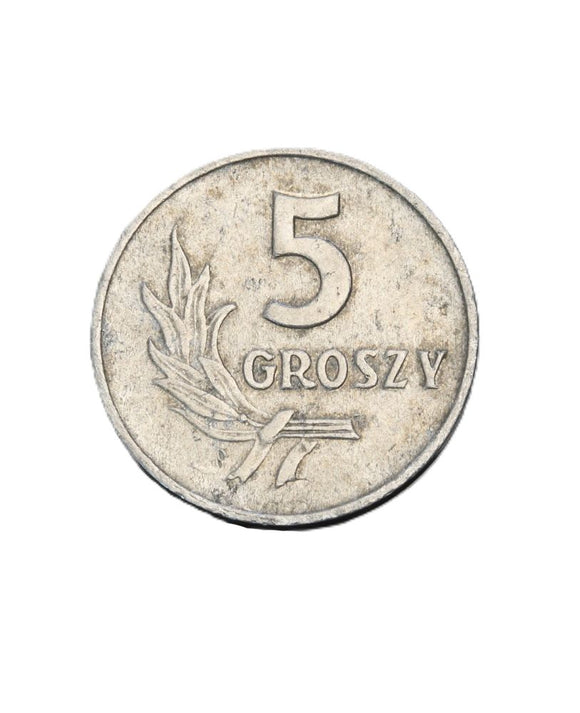 1959 - Polska - 5 Groszy