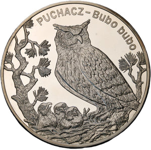 2005 - Polska - 20 zł - Puchacz