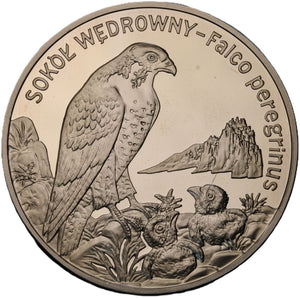 2008 - Polska - 20 zł - Sokół Wędrowny