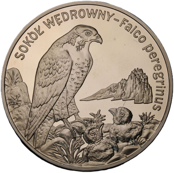 2008 - Polska - 20 zł - Sokół Wędrowny