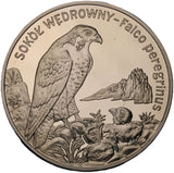 2008 - Polska - 20 zł - Sokół Wędrowny