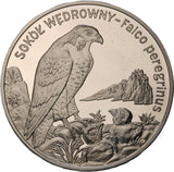 2008 - Polska - 20 zł - Sokół Wędrowny