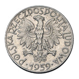 1959 - Polska - 5 Złotych