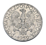 1959 - Polska - 5 Złotych