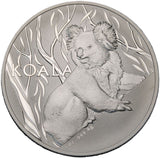 1 uncja - 2024 - Australia - Koala