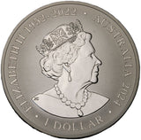 1 uncja - 2024 - Australia - Koala