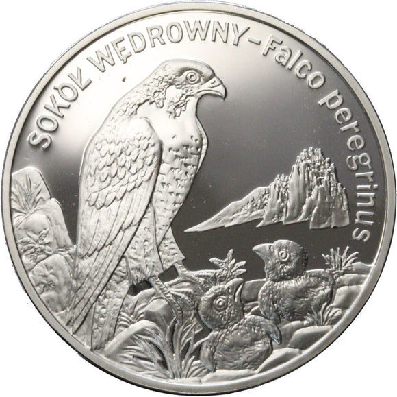 2008 - Polska - 20 zł - Sokół Wędrowny